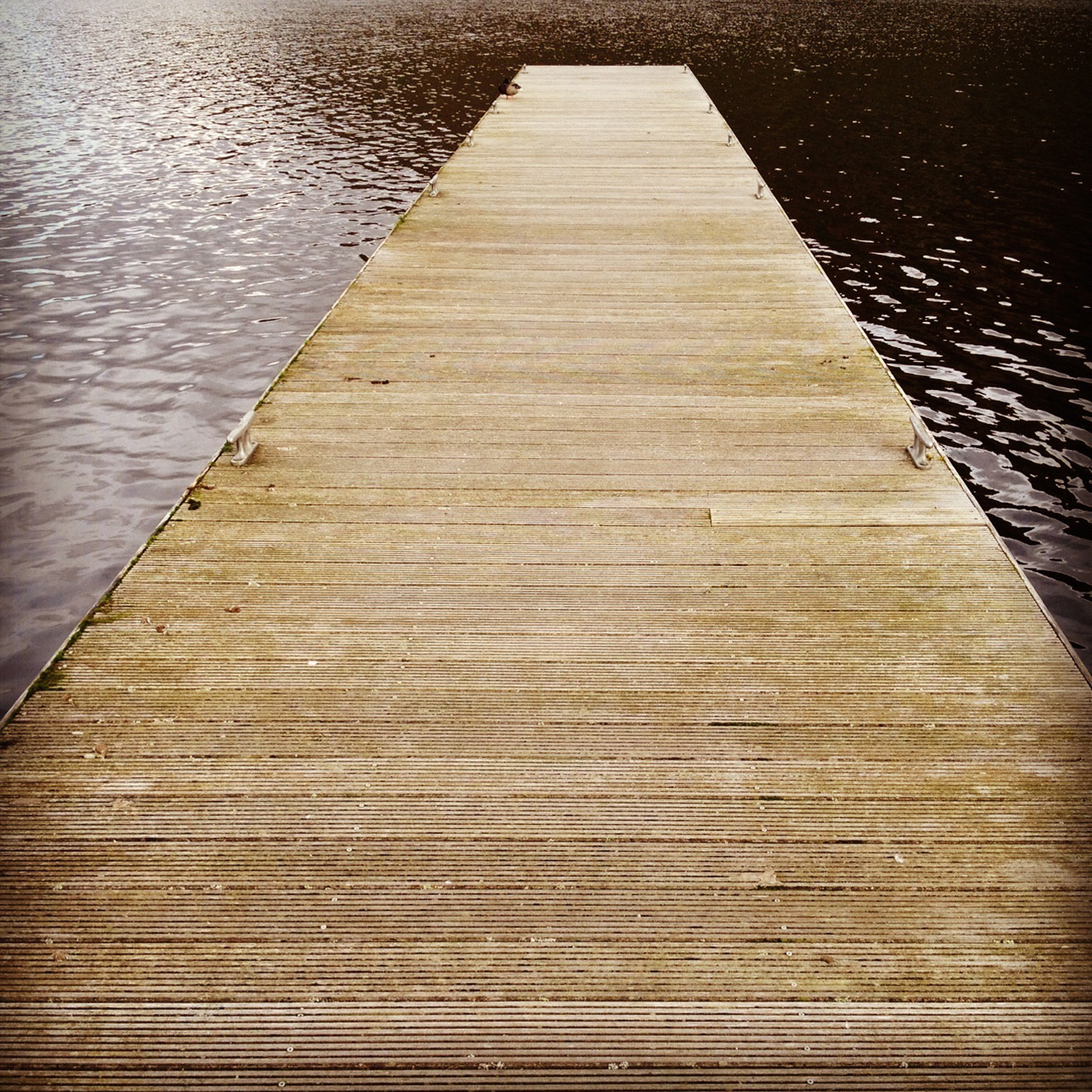 dock in lake